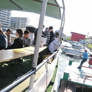 Firmprojekt Hochbeet