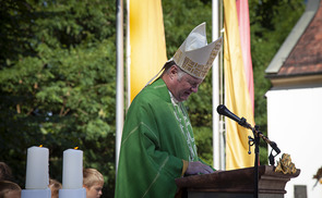 Bischof Manfred Scheuer predigt zum Festtag