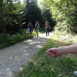 Naturerlebnisweg Pfarrwald Vöcklabruck