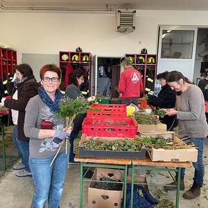 Palmbuschen binden 2023