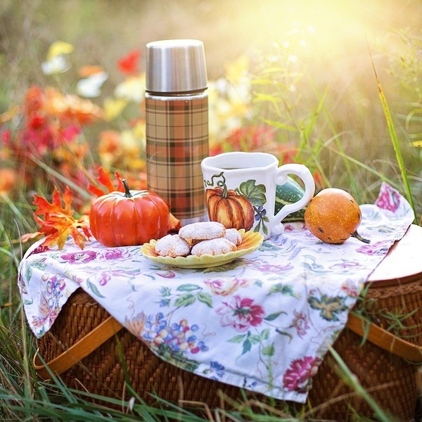 Bild von Jill Wellington auf Pixabay