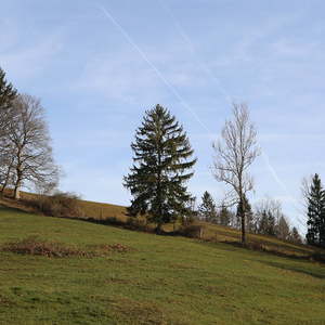 Visitation im Dekanat Weyer