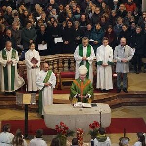 Am 25. Jänner 2026 wurden Pfarrer Klemens Hofmann, Pastoralvorstand Wolfgang Roth und Verwaltungsvorstand Markus Woda in der Pfarrkirche Stadt Freistadt von Bischof Manfred Scheuer feierlich in ihr Amt eingeführt.