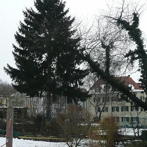 Kindergartenhütte