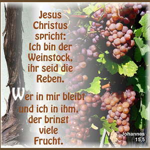 Textbilder für den Jahreskreis der Kirche