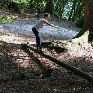 Naturerlebnisweg Pfarrwald Vöcklabruck