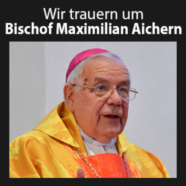 bei der Firmung in Kirchdorf/Krems im Jahr 2014