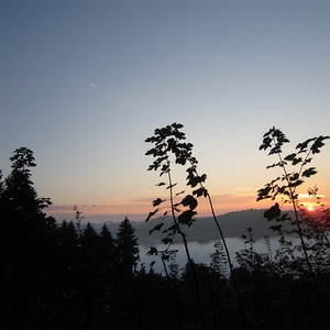 Rohrbach-Berg Wallfahrt