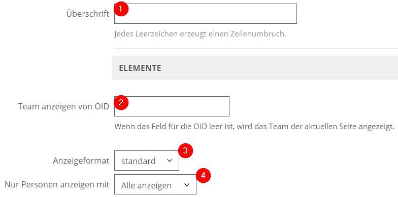 Widget Team Eingabemaske