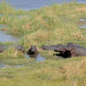 Reise nach Namibia und Botswana
