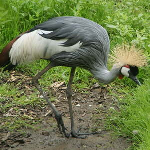 Kinderausflug Schmiding