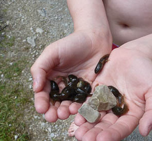 Ministrantenausflug 2014