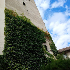 Kloster Muri-Gries, Cantina Muri - Gries