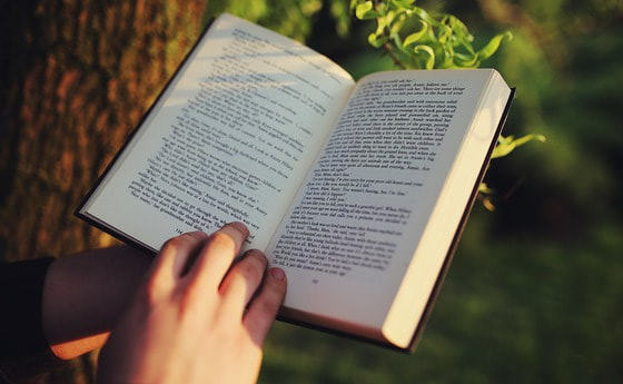 Lesung von Johanna Rachinger