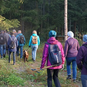 Auf den Spuren des heiligen Hubertus