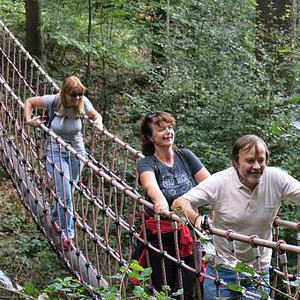 Naturerlebnisweg Pfarrwald Vöcklabruck