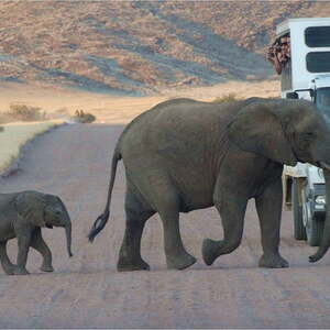 Namibia - im 'Land der Himba'
