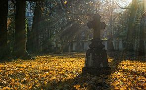 Friedhof im Herbst