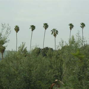 Ökumenische Reise ins Hl. Land