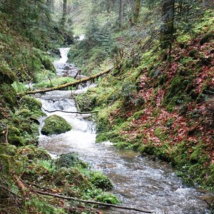 Pilgerwanderung 2017