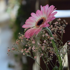 Erstkommunion 2025 Niederneukirchen