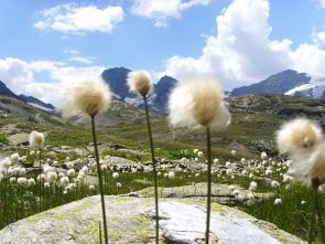 Wanderwoche Montafon