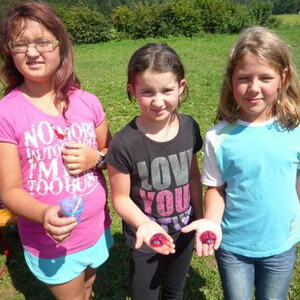 Jungschar- und Minilager 2011