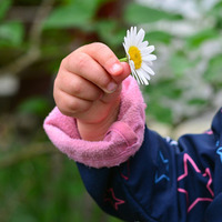 Fachteam Kinderliturgie / © congerdesign/pixabay.com/Pixabay License Fachteam Kinderliturgie