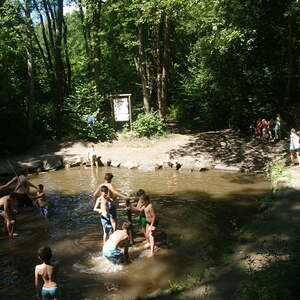 Baumkronenweg - Ikuna Naturressort