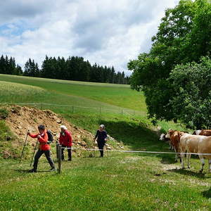des Männerstammtisches
