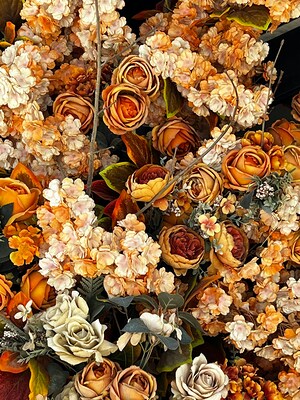 Herbst