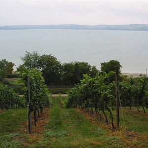 Pfarrwallfahrt Elsass - St. Hippolyte