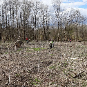 Traunauen-Reinigung mit ökomenischen Gottesdienst