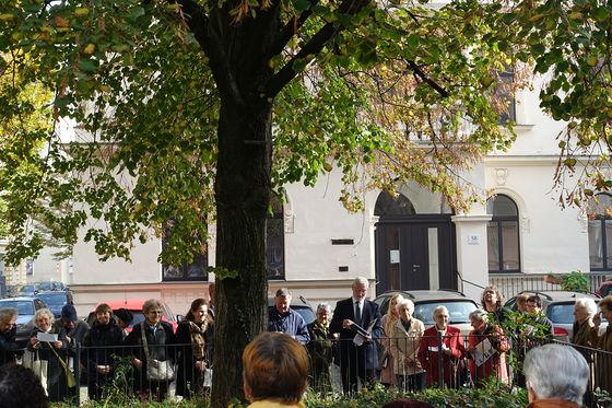 Sonntag 30. Oktober 2022