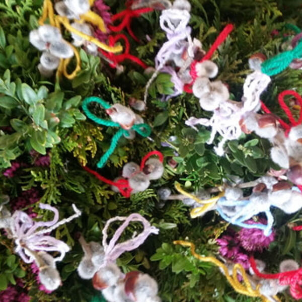 Pfarre Hörsching hl. Jakob