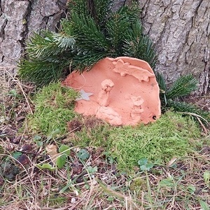 Versteckt am Boden ... 