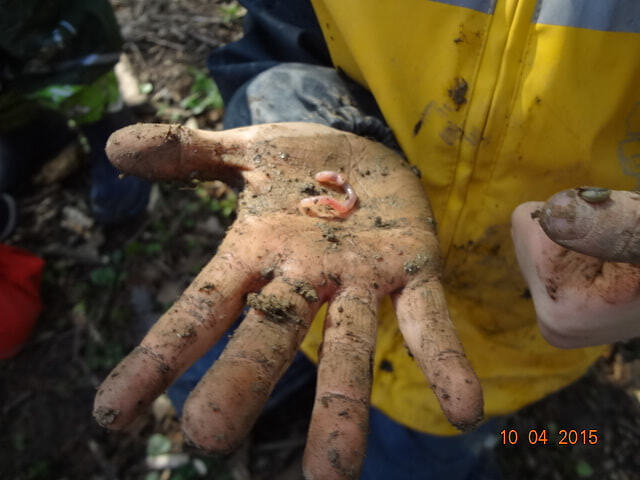 Kind mit Regenwurm