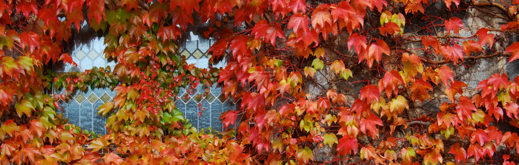 Herbst an der Kirche von Schwertberg