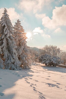 Winterlandschaft