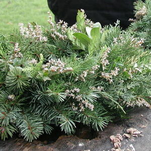 Weihnachtsmarkt 2007