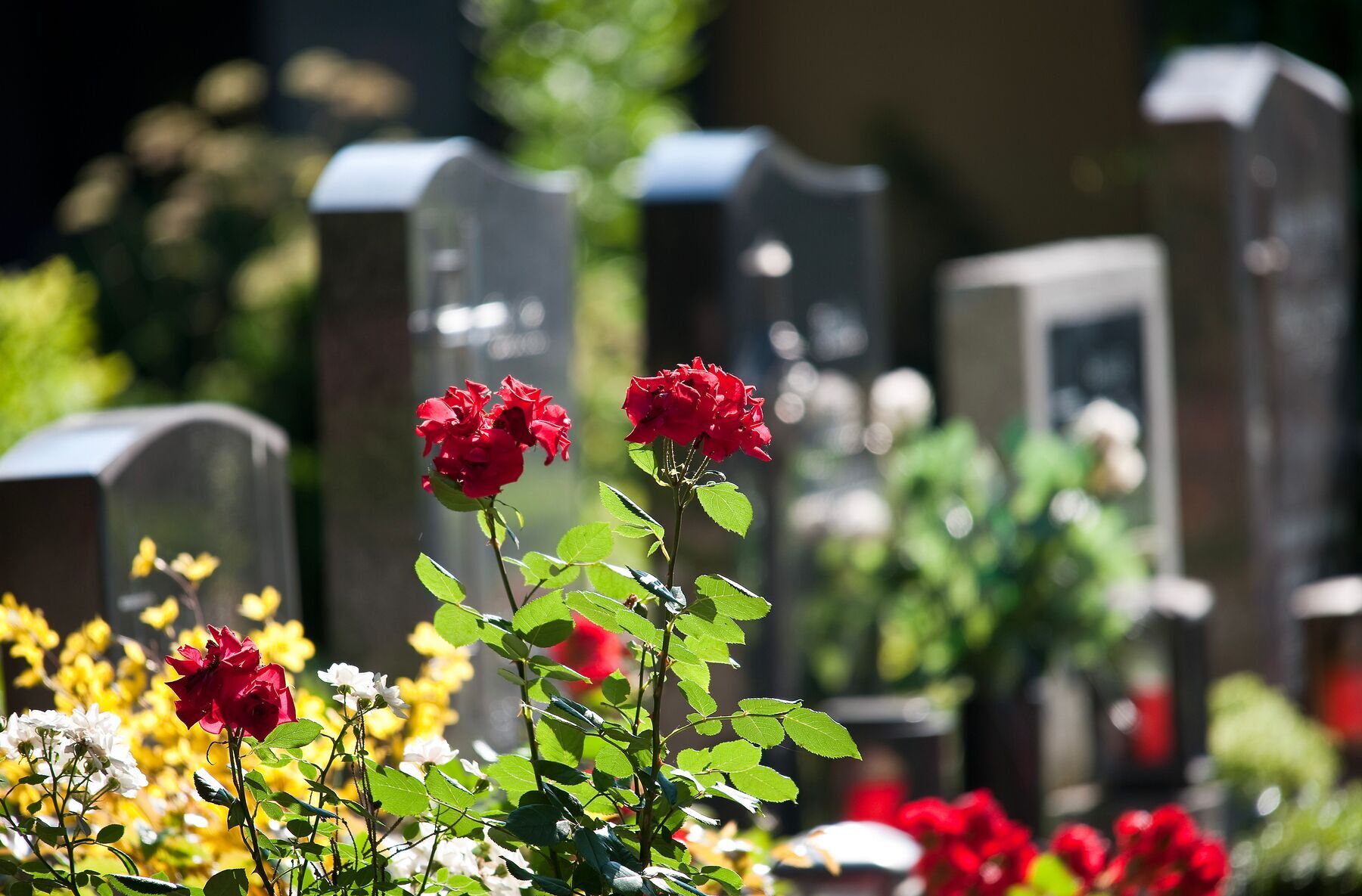 St. Barbara Friedhof