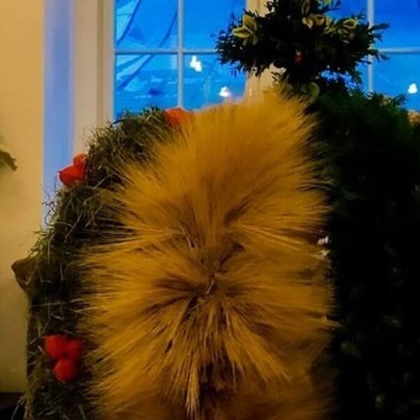 Erntedank- und Pfarrfest 2022