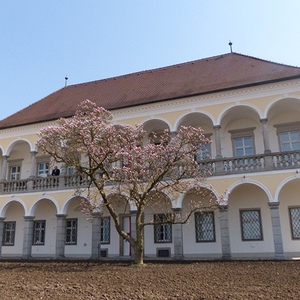 Pfarrhoferöffnung 2013