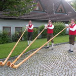  Alphornbläser der Trachtenmusikkapelle Gaflenz                              