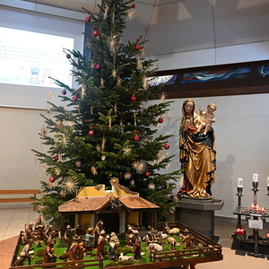Christbaum und Weihnachtskrippe der Marienkirche