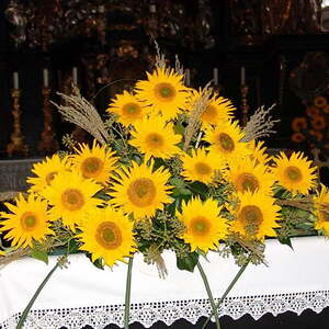 Erntedankfest Kirche Maria Schauersberg 2014