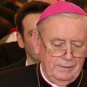 Pfarrhoferöffnung 2013