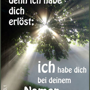 Textbilder für den Jahreskreis der Kirche