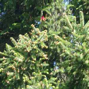 meditative Pilgerwanderung 28.4.18