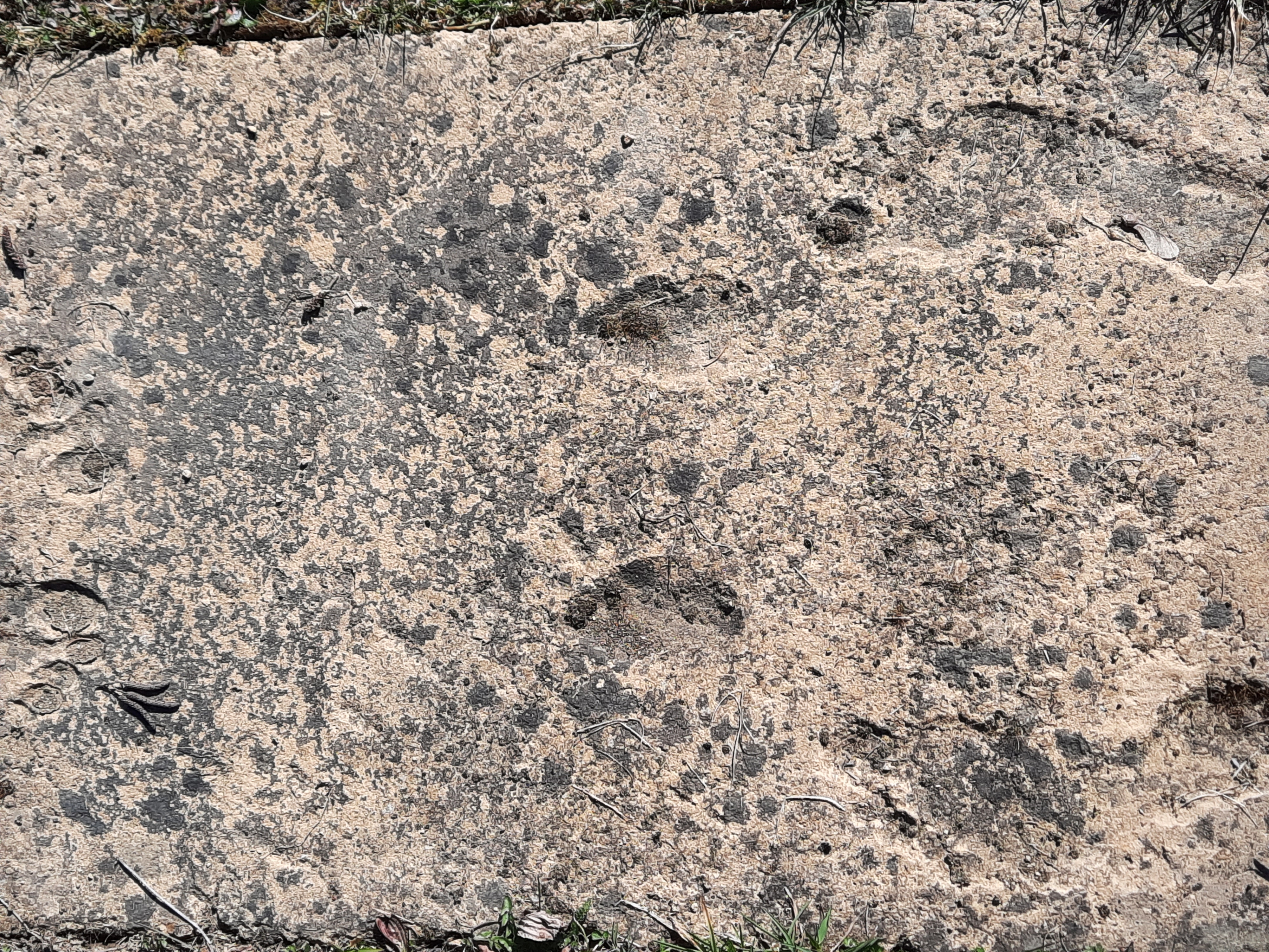 Kreuzweg Zwettl an der Rodl / Christoph Froschauer Stationen